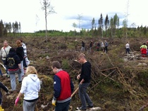 Kaikki pääsivät kokeilemaan istuttamista